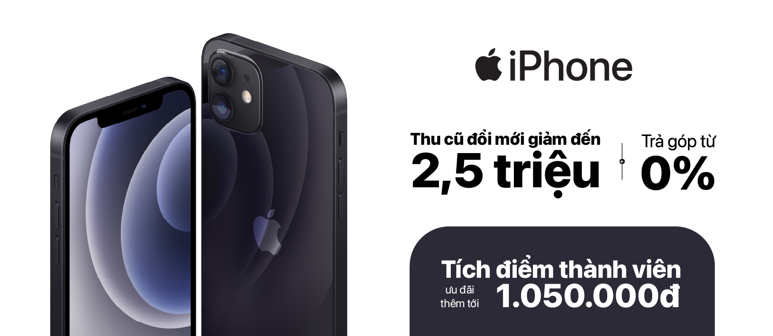 iPhone X Series